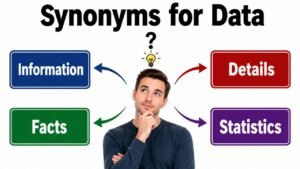 synonyms for data