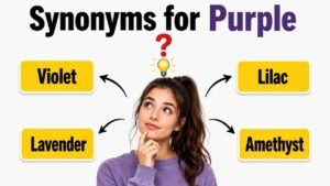 synonyms for purple