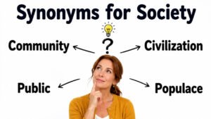 synonyms for society