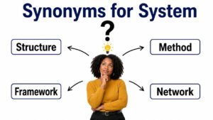 synonyms for system