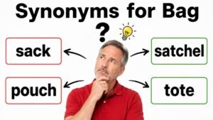 synonyms for bag