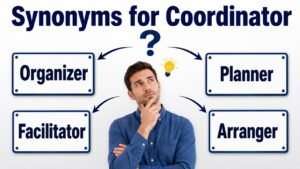 synonyms for coordinator