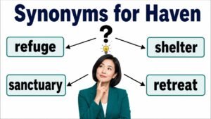 synonyms for haven